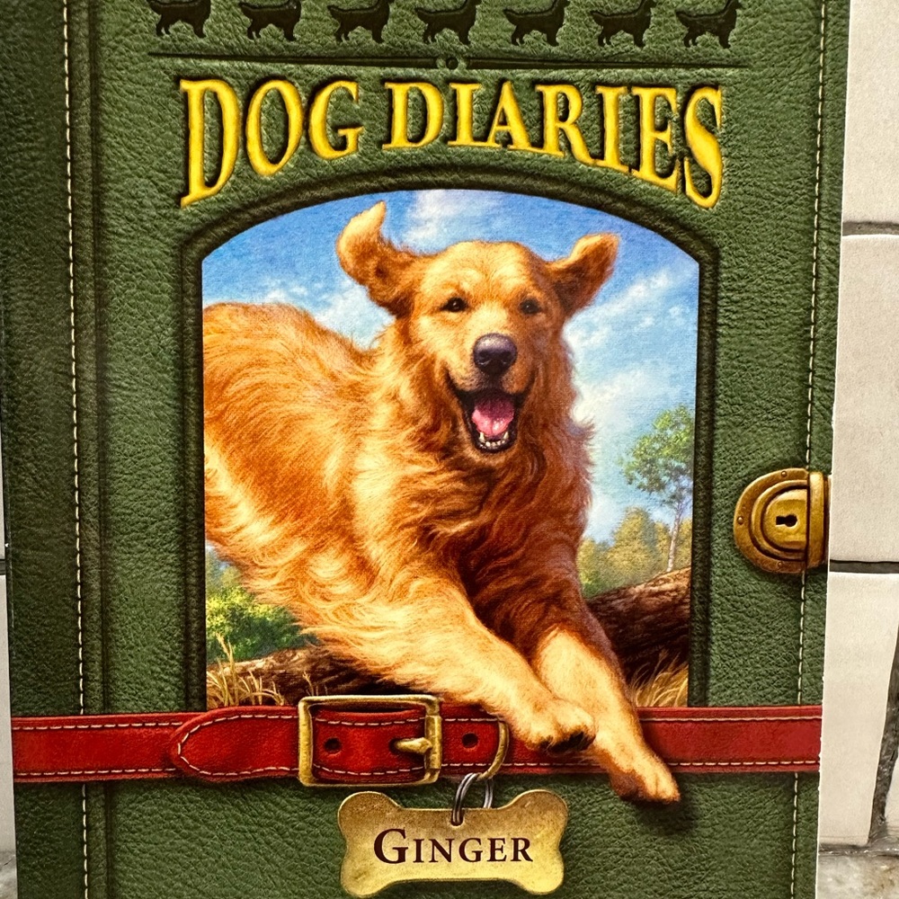 Dog diaries Ginger paperback book